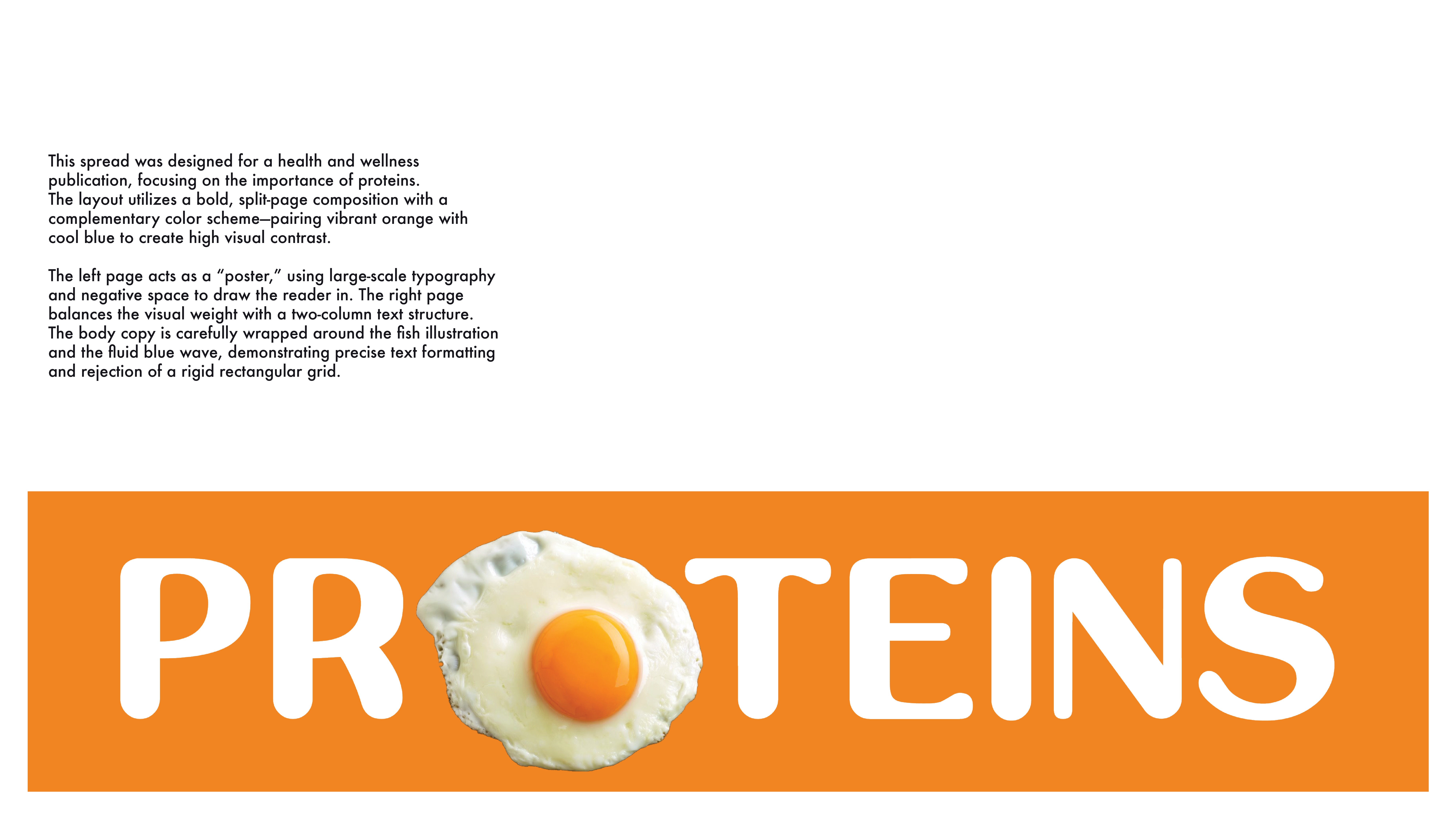 Magazine Protein Guide 3
